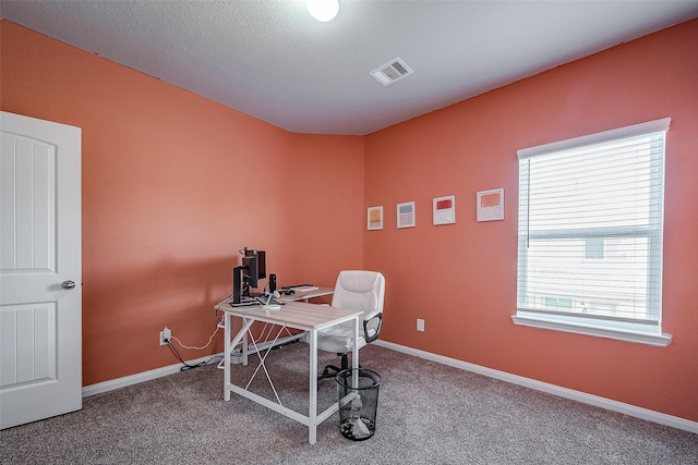 carpeted office space with a wealth of natural light