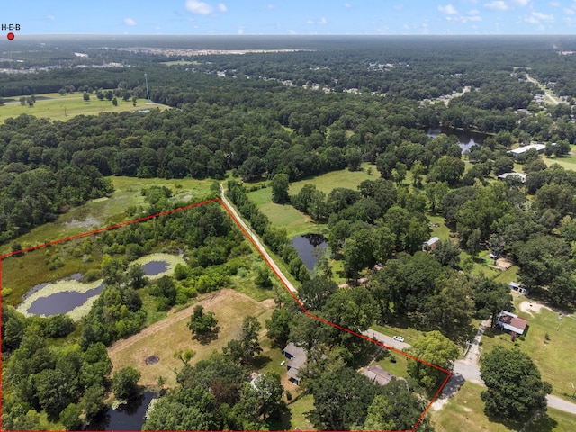 bird's eye view featuring a water view and a wooded view