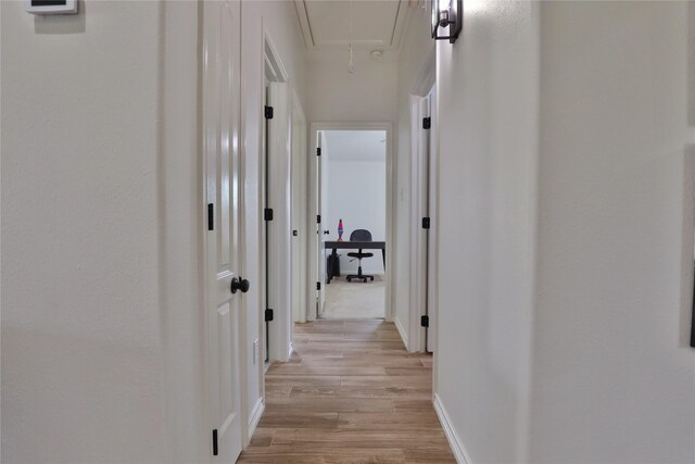 hallway featuring light hardwood / wood-style flooring and ornamental molding