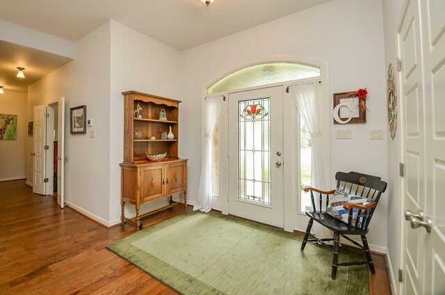 entryway featuring hardwood / wood-style floors and a wealth of natural light