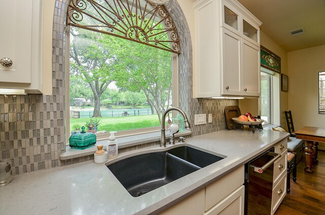 kitchen with white cabinetry, plenty of natural light, sink, and backsplash