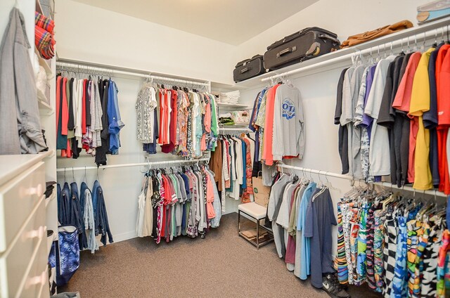 spacious closet with carpet flooring