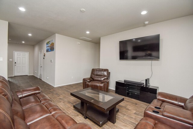 living room featuring wood-type flooring