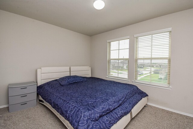 bedroom with carpet