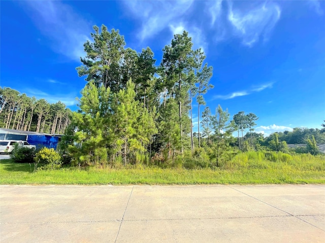 124 County Road 3546, Cleveland TX, 77327 land for sale