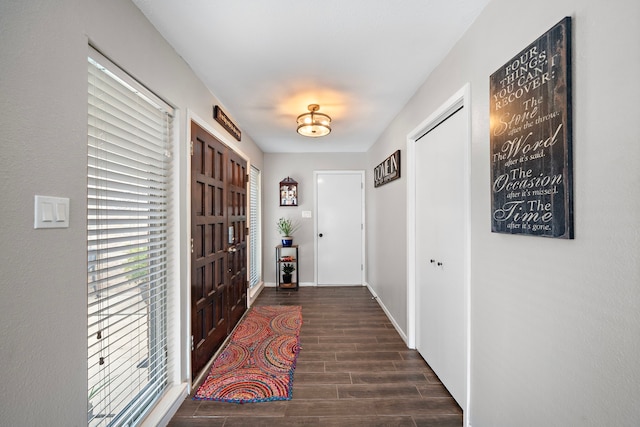 entrance foyer featuring dark wood-type flooring