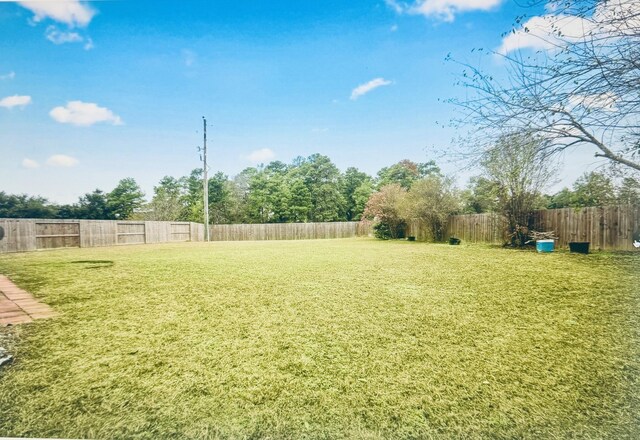 view of yard with a fenced backyard