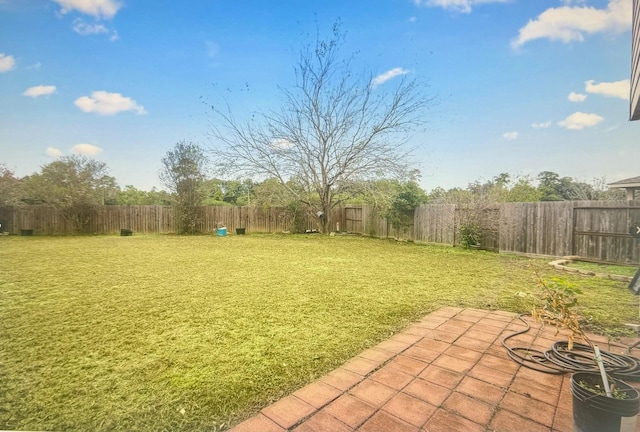 view of yard featuring a fenced backyard and a patio