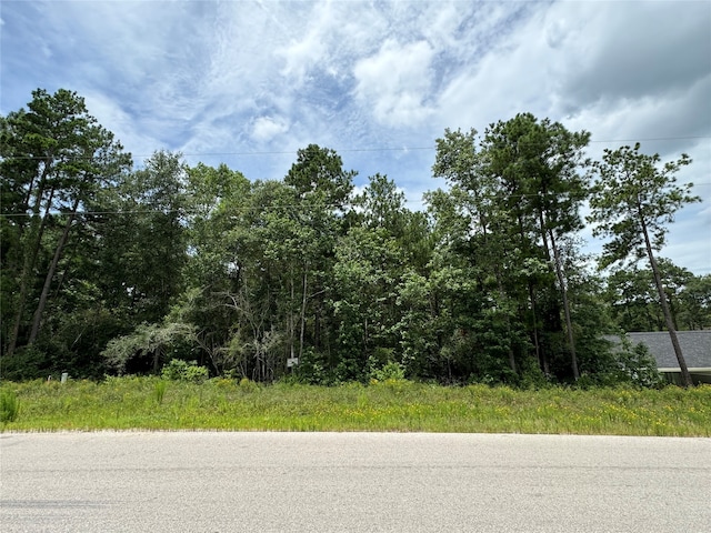 4-29-10 Lonestar Rd, Huntsville TX, 77340 land for sale