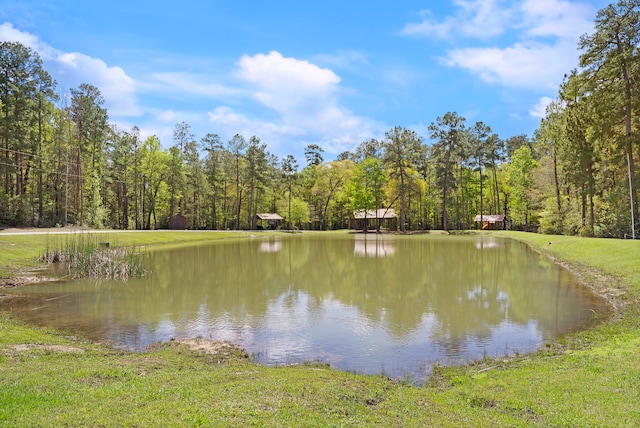 4-29-10 Lonestar Rd, Huntsville, TX 77340