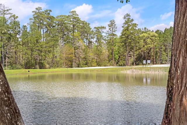 4-29-10 Lonestar Rd, Huntsville, TX 77340