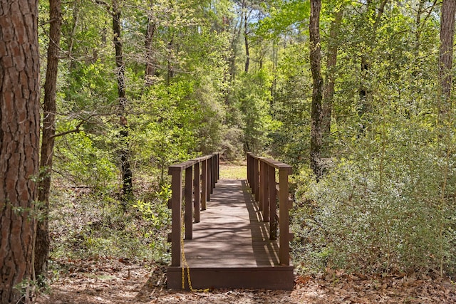 4-29-10 Lonestar Rd, Huntsville, TX 77340
