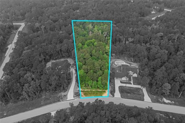 4-29-10 Lonestar Rd, Huntsville, TX 77340