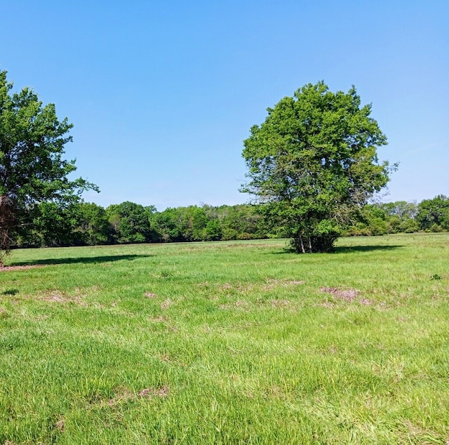 Listing photo 3 for TRACT24 Fm 2915, Lovelady TX 75851