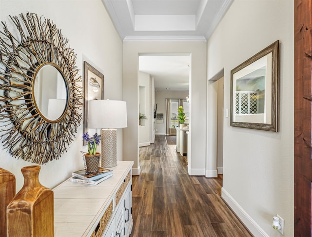 hallway featuring dark hardwood / wood-style flooring, a raised ceiling, and ornamental molding