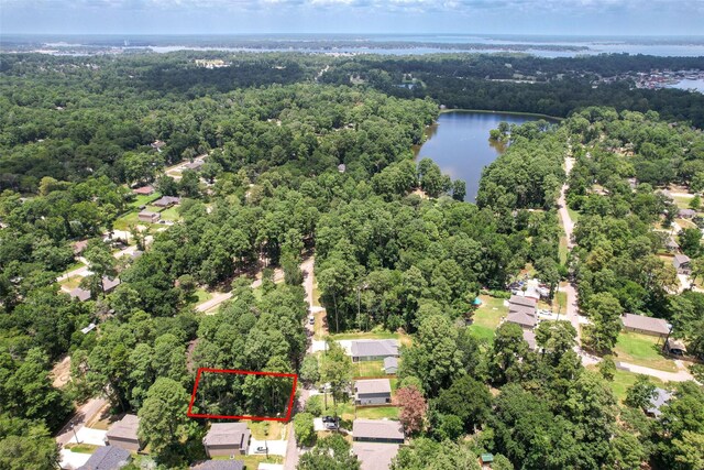 TBD Cedar River Rd, Montgomery, TX 77316 - photo 1