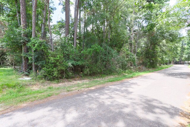 TBD Cedar River Rd, Montgomery, TX 77316 - photo 5