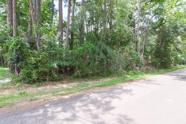 TBD Cedar River Rd, Montgomery, TX 77316 - photo 4