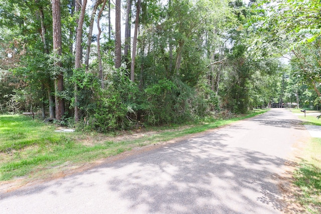 Listing photo 3 for TBD Cedar River Rd, Montgomery TX 77316