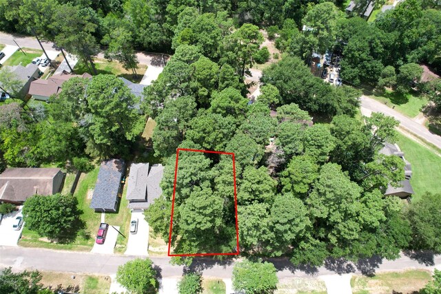 TBD Cedar River Rd, Montgomery, TX 77316 - photo 9