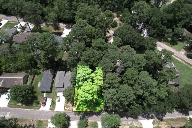 TBD Cedar River Rd, Montgomery, TX 77316 - photo 10
