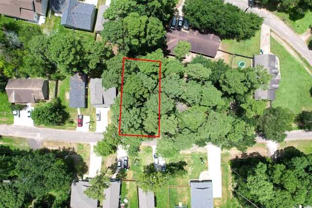 TBD Cedar River Rd, Montgomery, TX 77316 - photo 11