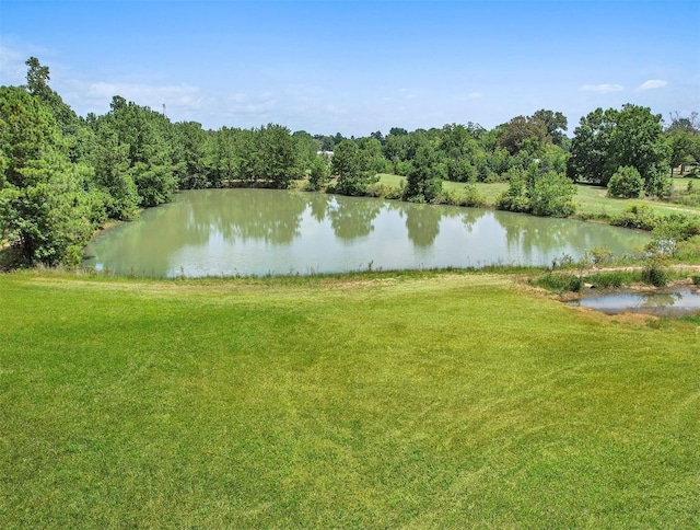 11304 Fostoria Rd, Cleveland, TX 77328 - photo 20