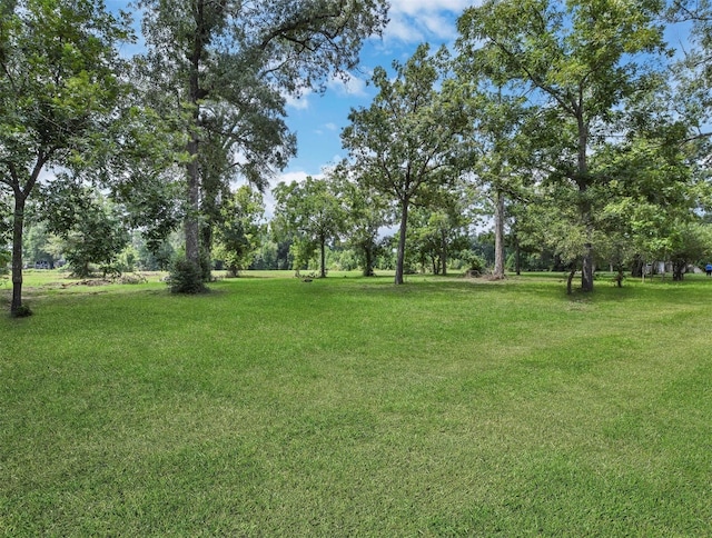 11304 Fostoria Rd, Cleveland, TX 77328 - photo 23