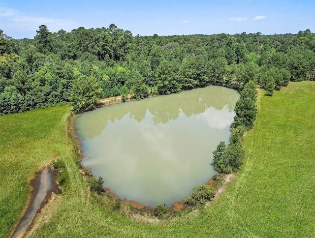 11304 Fostoria Rd, Cleveland, TX 77328 - photo 21
