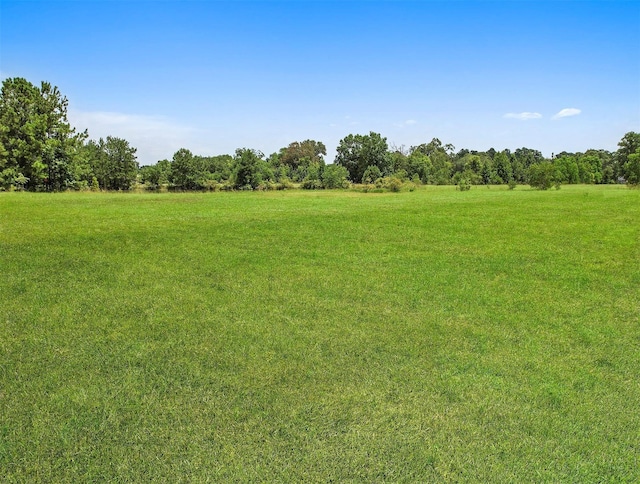 11304 Fostoria Rd, Cleveland, TX 77328 - photo 24