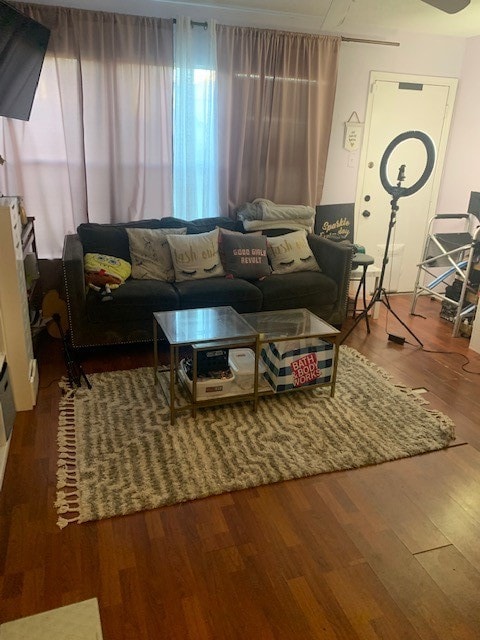 living room with wood-type flooring