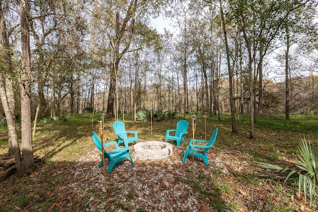 view of yard featuring a fire pit