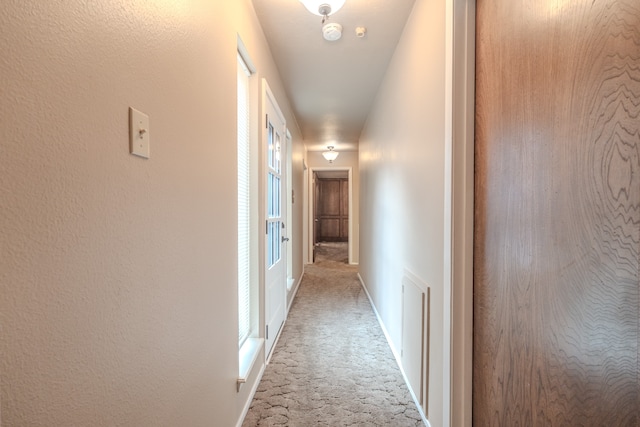 hall featuring carpet floors