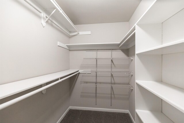 walk in closet with carpet