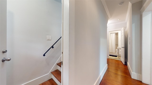 corridor with hardwood / wood-style flooring and crown molding