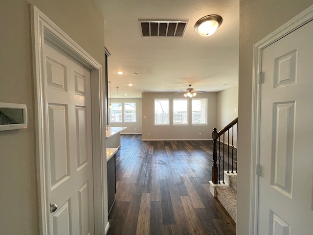 hall with dark wood-type flooring