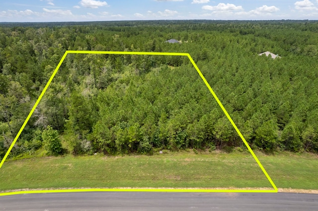 12050 High Branch Way, Willis TX, 77378 land for sale