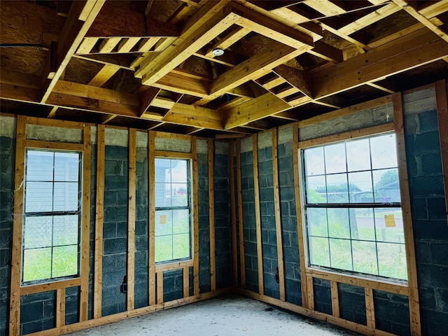 miscellaneous room featuring plenty of natural light