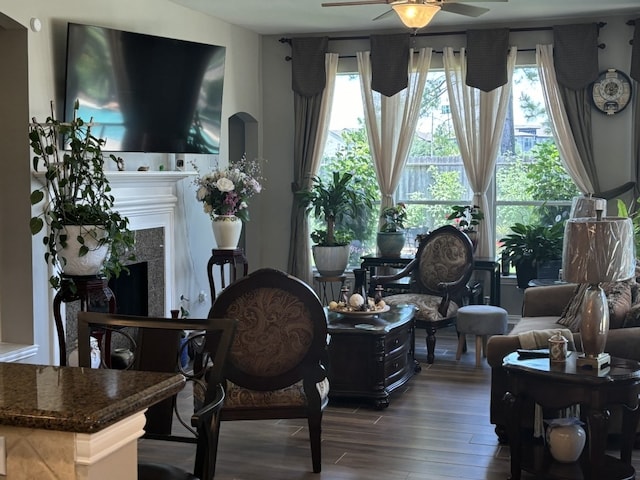 living room with a high end fireplace, ceiling fan, and wood-type flooring