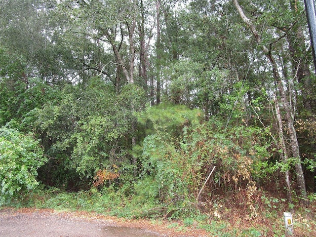 Listing photo 2 for LOT9 Stevens Frst, New Caney TX 77357