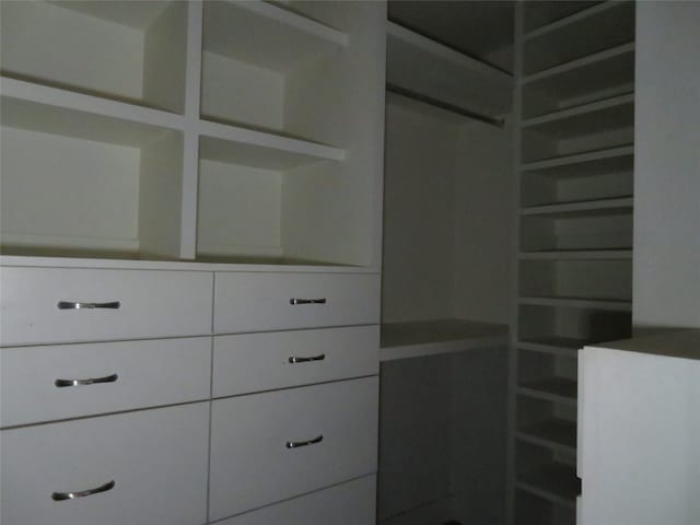 view of walk in closet