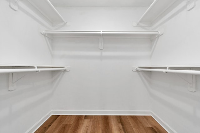 spacious closet with hardwood / wood-style floors