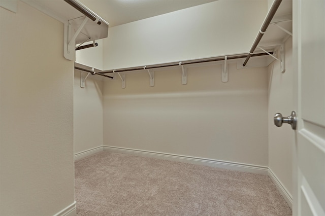 spacious closet with carpet