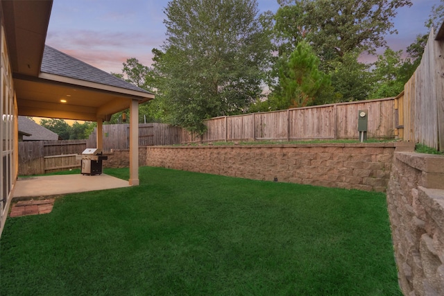 yard at dusk featuring a patio