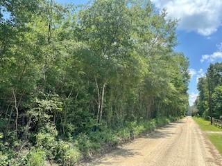 TBD County Road 4600, Fred TX, 77616 land for sale