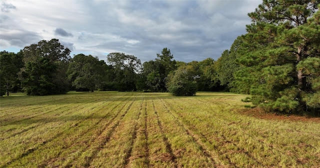 4000 N Fm 1486, Montgomery, TX 77356 - photo 11