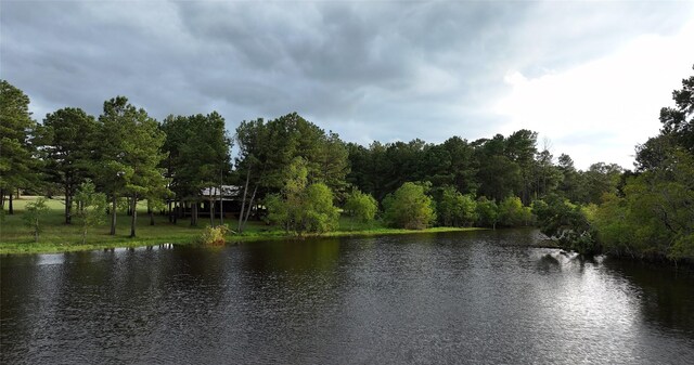 4000 N Fm 1486, Montgomery, TX 77356 - photo 12