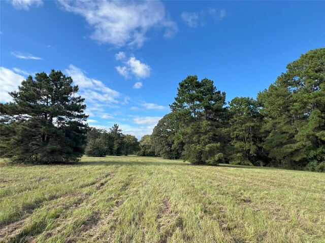 4000 N Fm 1486, Montgomery, TX 77356 - photo 16