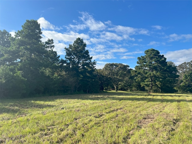 4000 N Fm 1486, Montgomery, TX 77356 - photo 17