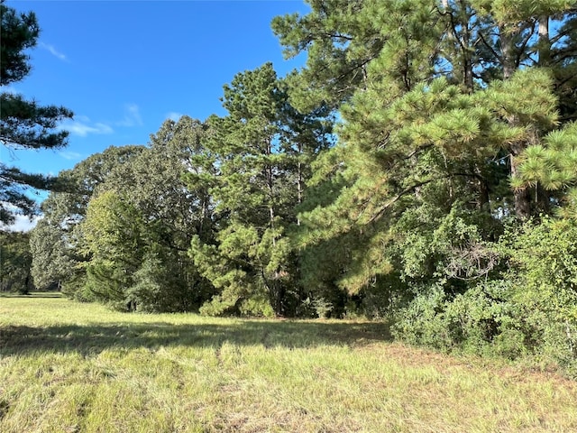 4000 N Fm 1486, Montgomery, TX 77356 - photo 18